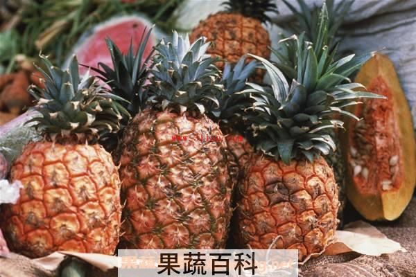 菠萝