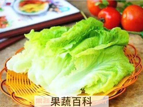 罗马生菜