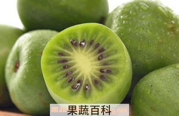 圆枣子泡蜂蜜的功效与作用