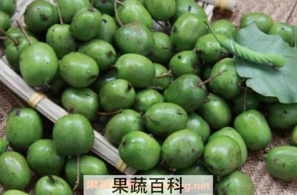 圆枣子泡蜂蜜的功效与作用