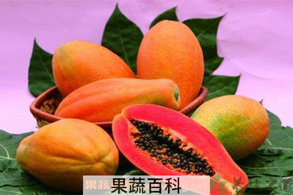 木瓜