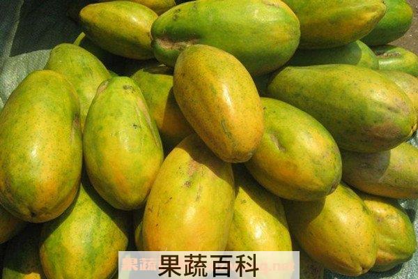 木瓜