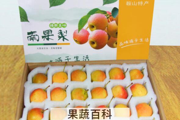 南果梨产地