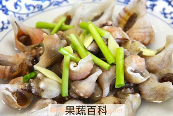 角螺的功效与作用