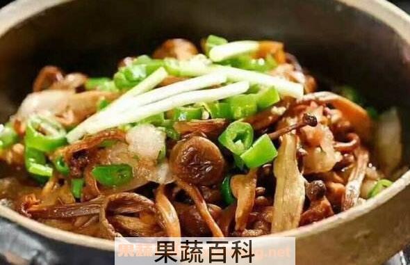 鹿茸菇的功效与作用
