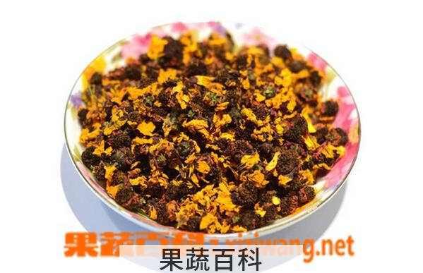 果蔬百科雪菊的功效与作用