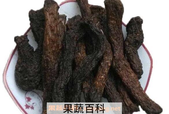 肉松茸有什么功效 肉松茸的功效与作用