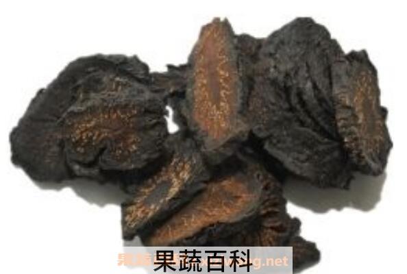 肉松茸有什么功效 肉松茸的功效与作用