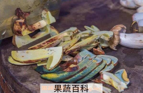 见手青的功效与作用 吃见手青的禁忌
