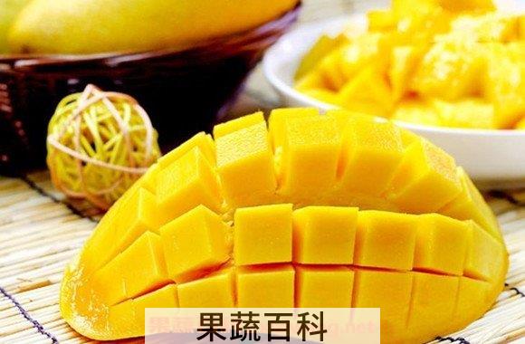 金煌芒