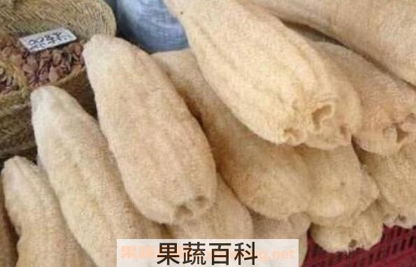 丝瓜络的功效与作用 丝瓜络的副作用