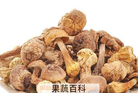 吃姬松茸的功效与作用 吃姬松茸的禁忌