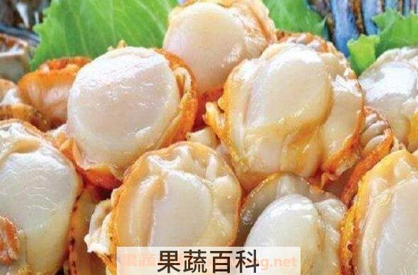 全贝的功效与作用 全贝的营养价值