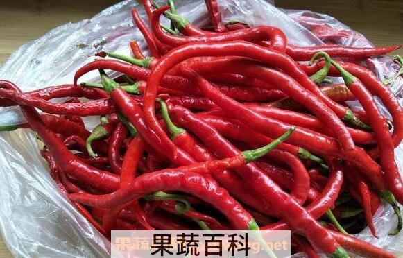 辣椒蒂的药用价值 辣椒蒂可以吃吗