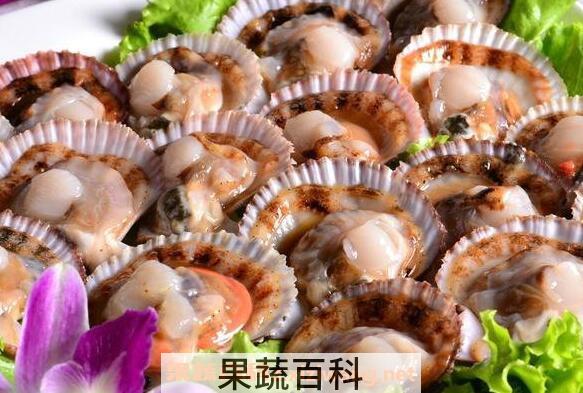 扇贝的营养价值及功效