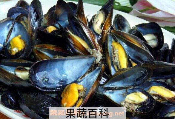 海虹的营养价值及功效