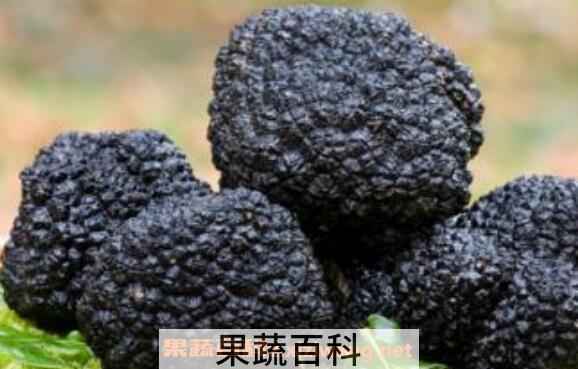黑松露的功效与作用 黑松露怎么吃最好