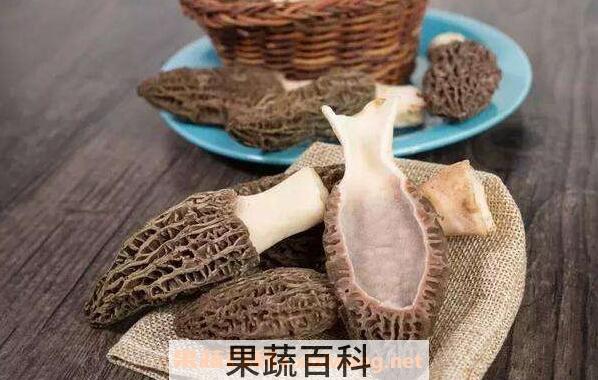 羊肚菌的功效与作用