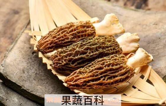 羊肚菌的功效与作用