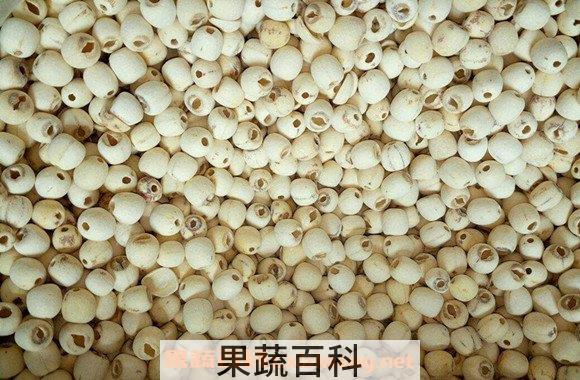 干莲子