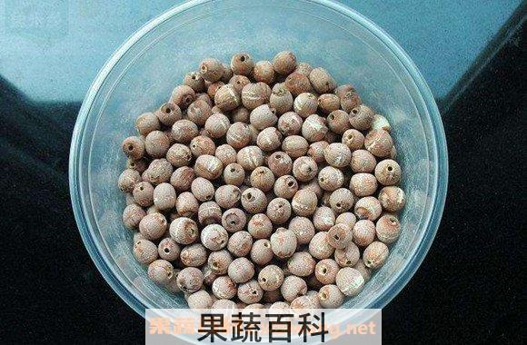 干莲子