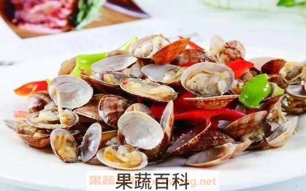 花贝的功效与作用 花贝的营养价值