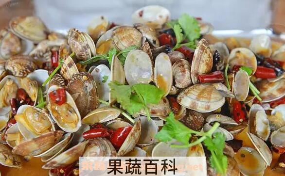花贝的功效与作用 花贝的营养价值
