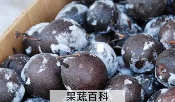 冻梨为什么是黑色的