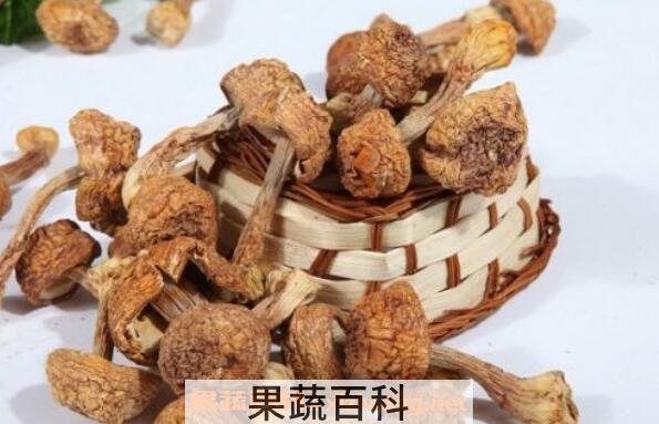 干姬松茸的功效与禁忌