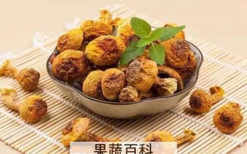 姬松茸的作用和功效是什么 姬松茸的功效与作用,禁忌和食用方法
