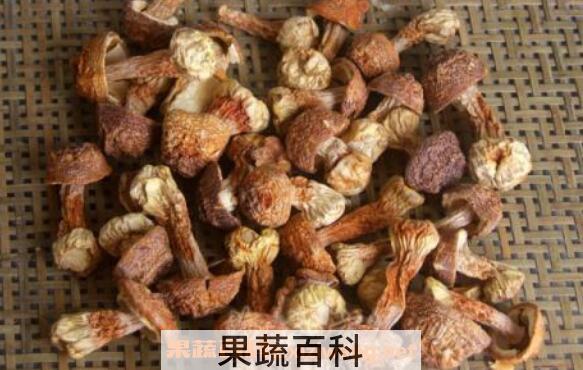 姬松茸的功效和作用 姬松茸的吃法