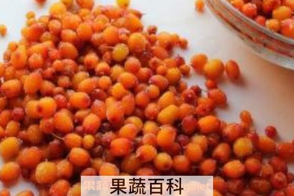 沙棘果泡酒功效与作用