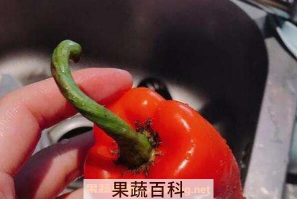 辣椒柄的功效与作用 辣椒柄的药用价值