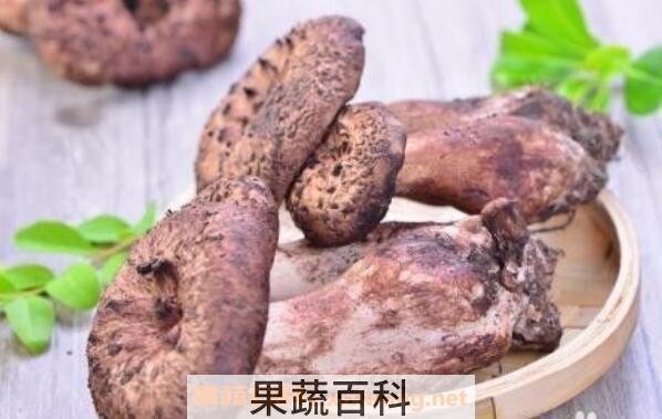 獐子菌的功效及作用 獐子菌的禁忌