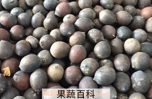 老莲子