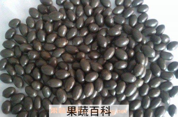 老莲子