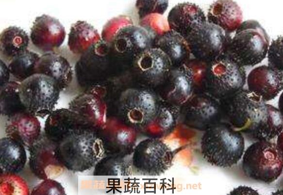 地稔子的作用和功效