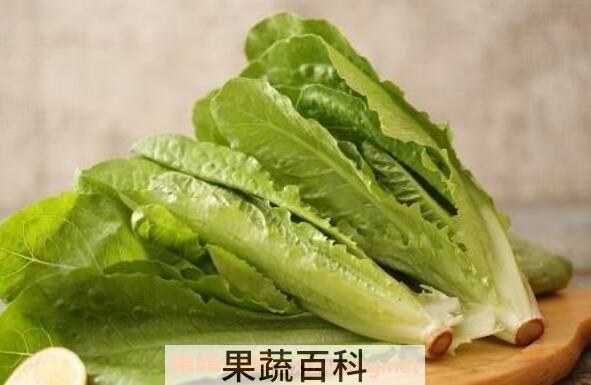 罗马生菜的功效与作用
