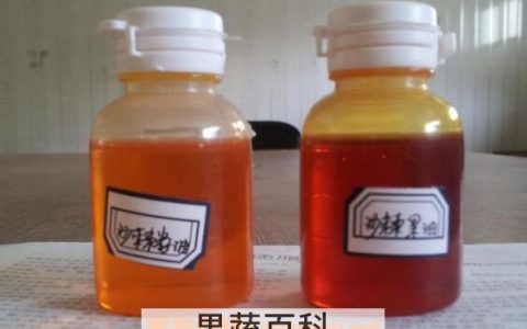 沙棘果油的营养价值和功效 沙棘果油有什么作用