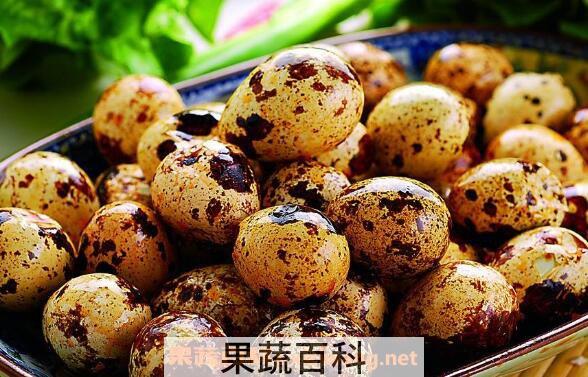 鹌鹑蛋的功效与作用 鹌鹑蛋的禁忌