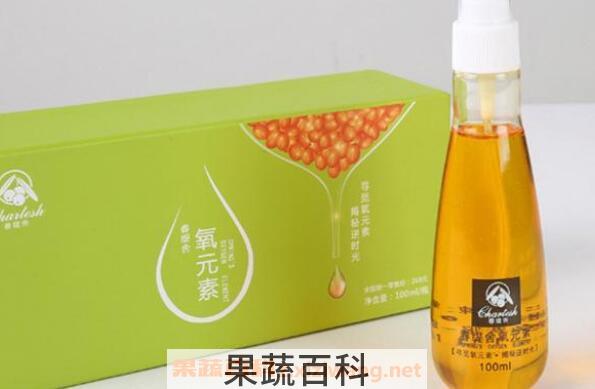 小春沙棘的功效与作用