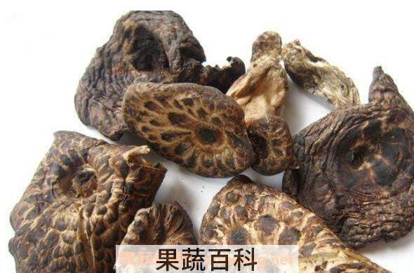  虎掌菌的功效与作用