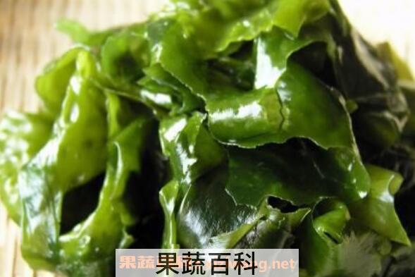 裙带菜和海带的区别