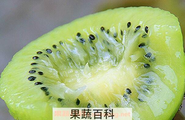 什么样的猕猴桃最好吃 猕猴桃的选购技巧