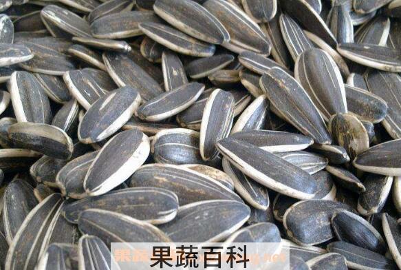 葵花籽的功效与作用 葵花籽的营养价值