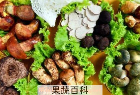 野生菌的功效与作用 常见野生菌有哪些