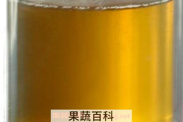 米糠油怎么吃 米糠油怎么食用