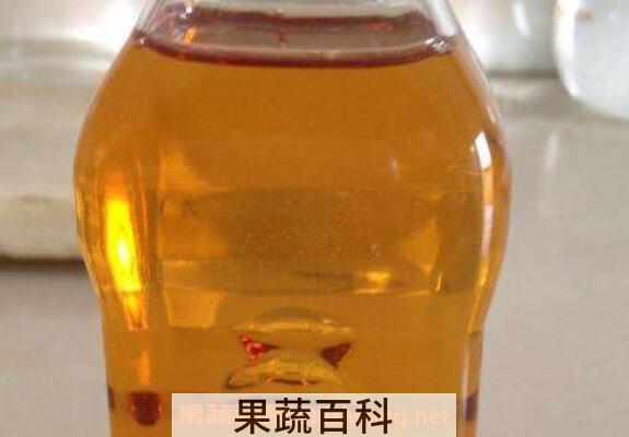 米糠油怎么吃 米糠油怎么食用