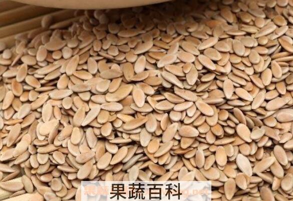 香瓜籽泡水喝的功效与作用