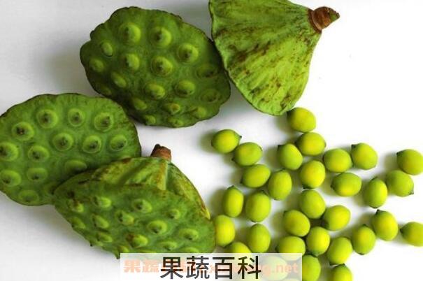 莲蓬的功效与作用 莲蓬的食用禁忌